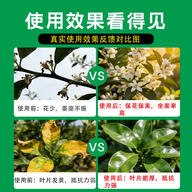 氨基酸水溶肥果树植物保护促花促果增产叶面肥