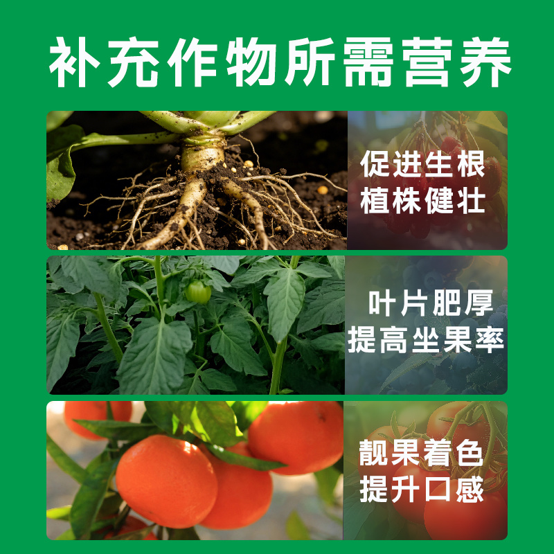 氨基酸水溶肥果树植物保护促花促果增产叶面肥
