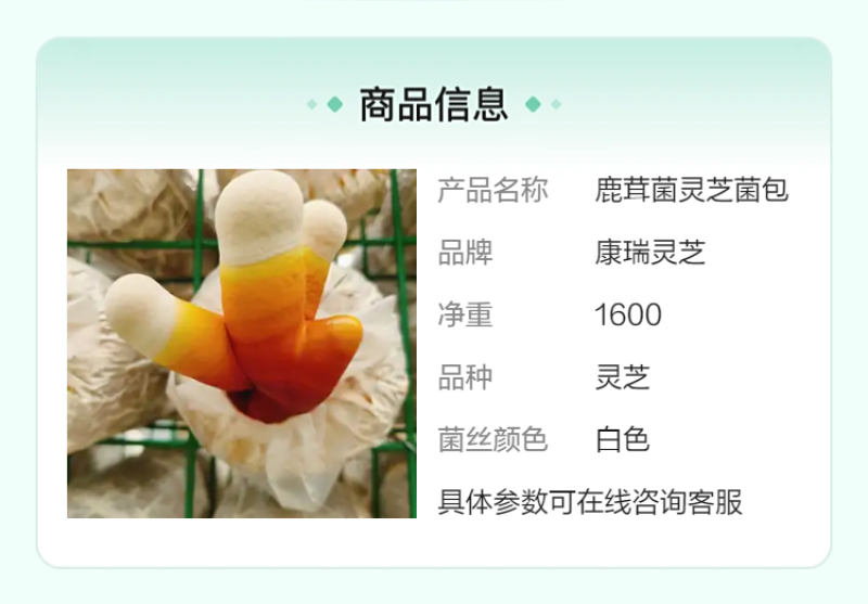 鹿茸菌灵芝种植菌包高成活率家庭农场种植批发食用菌包