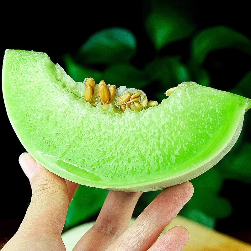 山东玉菇甜瓜当季新鲜水果软糯香甜一件代发