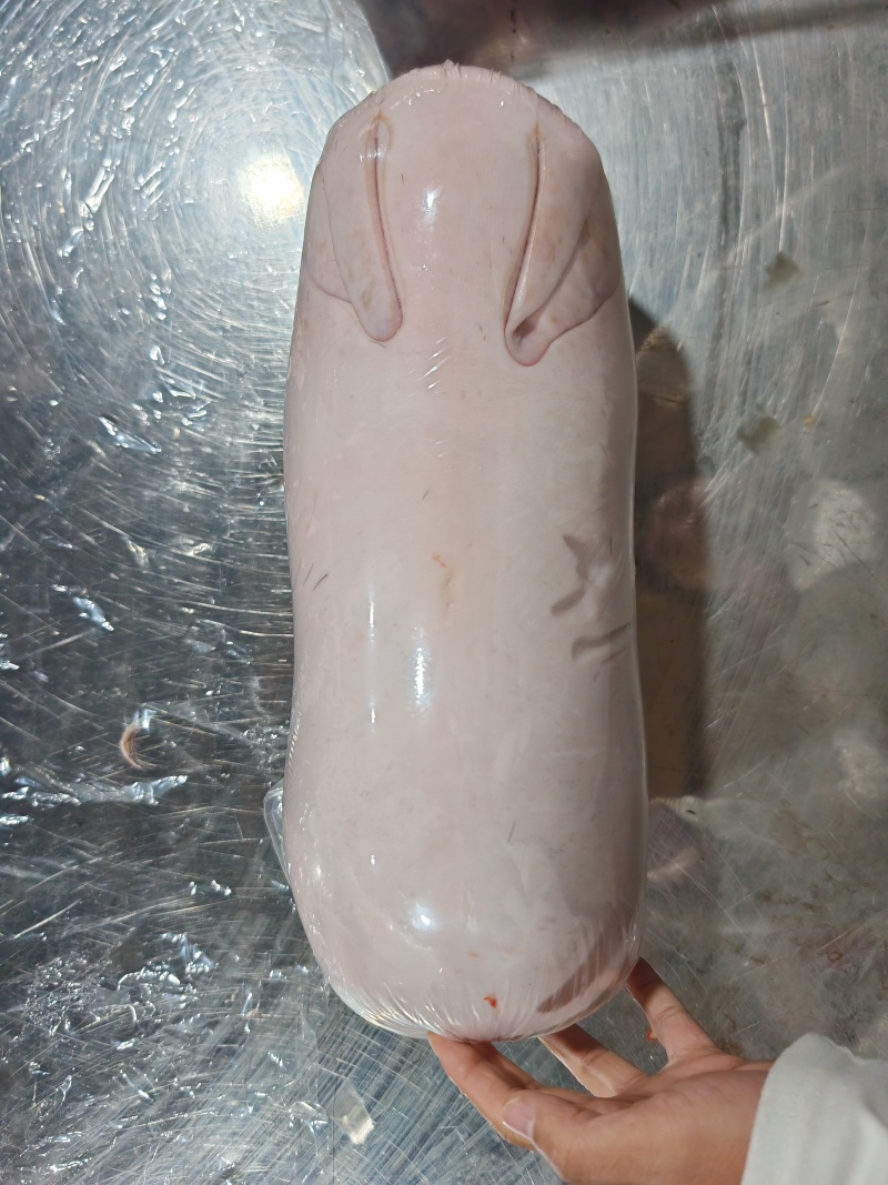 乳猪烤乳猪新鲜产地直发量大有货全国可发