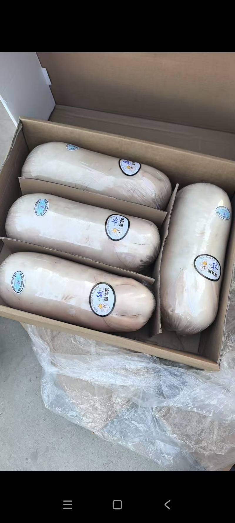 乳猪烤乳猪新鲜产地直发量大有货全国可发