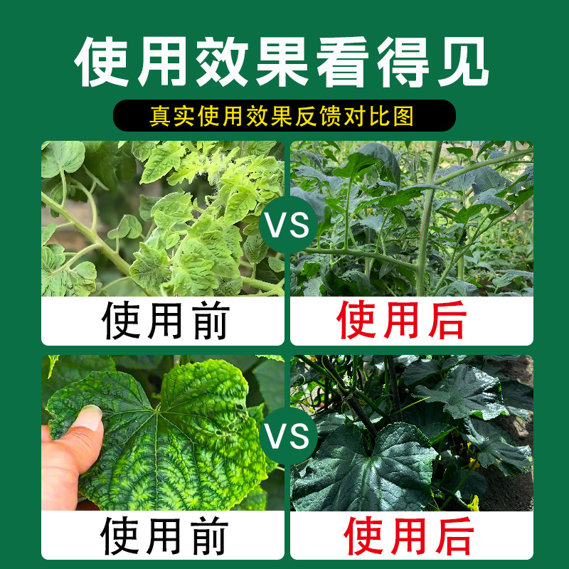 病毒病专用药辣椒西葫芦红柿番茄黄瓜卷花叶病毒病克星套餐