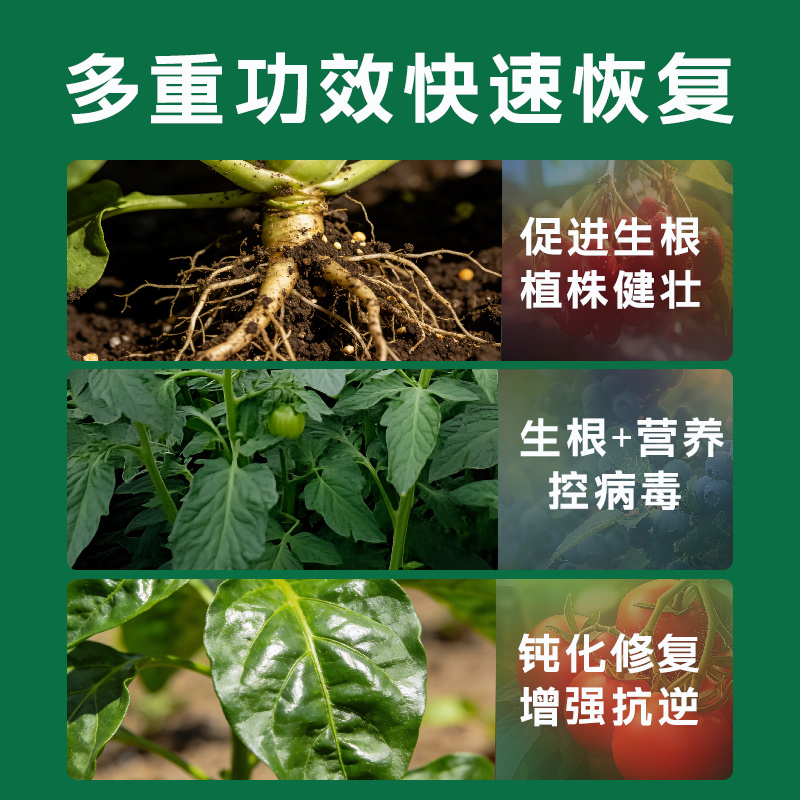 病毒病专用药辣椒西葫芦红柿番茄黄瓜卷花叶病毒病克星套餐