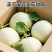 【实力推荐】玉菇甜瓜产地直销量大质优价格优惠欢迎采购