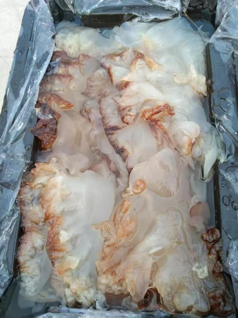 沙蛰头海蜇头货源充足常年供货品质保证欢迎联系