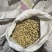 精选富硒黑花生安徽花生带壳干花生基地直发价格实惠欢迎老板联系