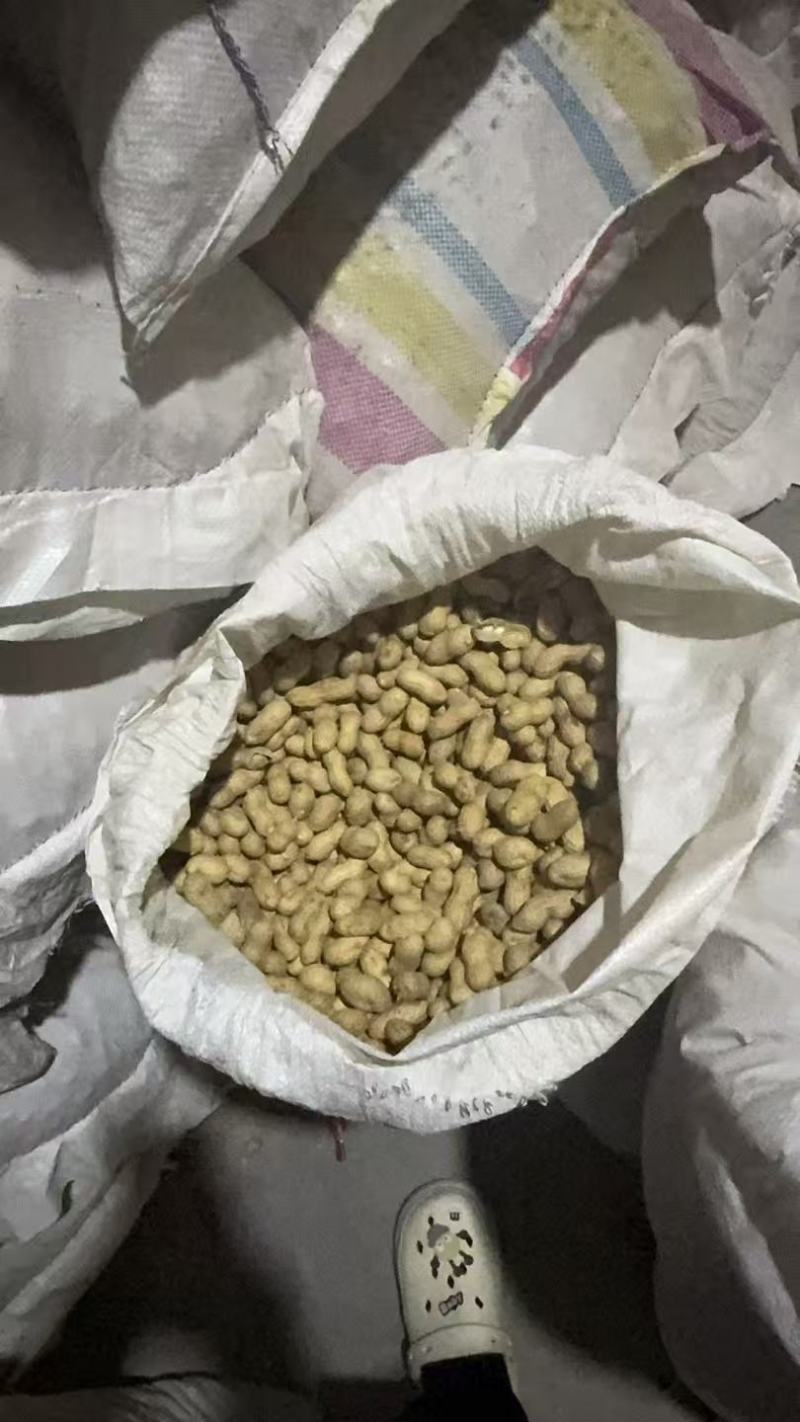 精选富硒黑花生安徽花生带壳干花生基地直发价格实惠欢迎老板联系