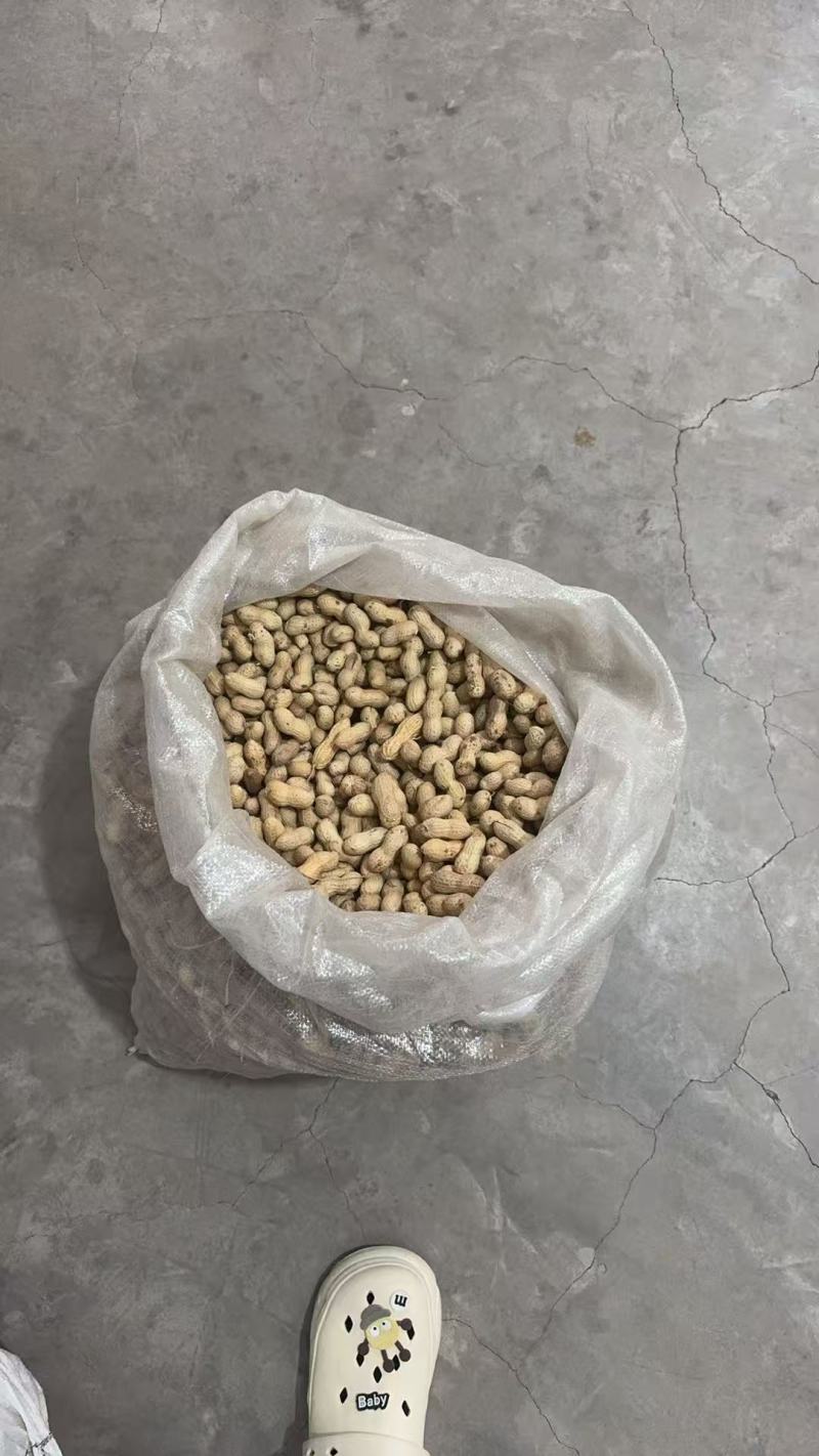 精选富硒黑花生安徽花生带壳干花生基地直发价格实惠欢迎老板联系