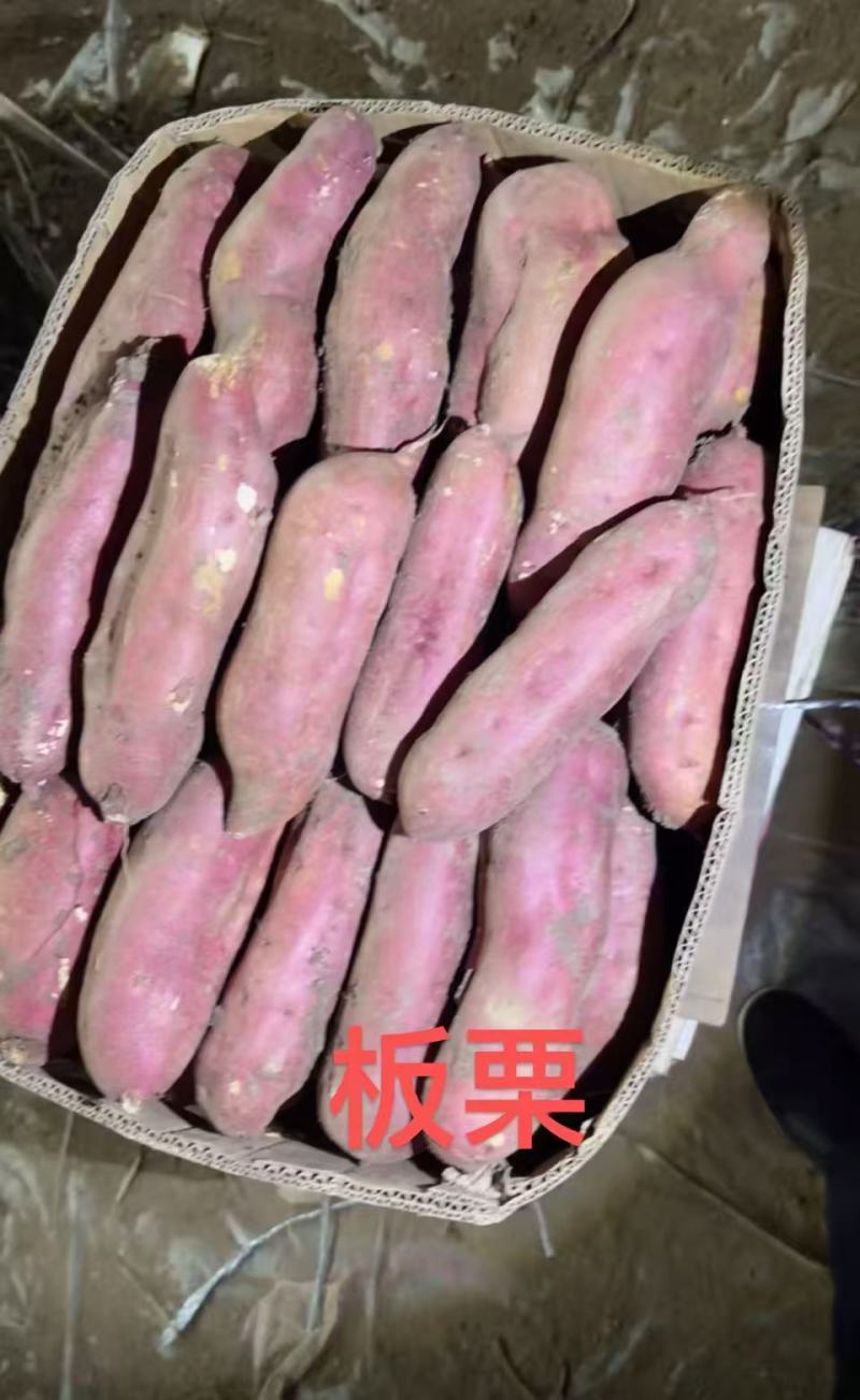 《一件代发》板栗红薯源头供应链，商超，团购批量供应