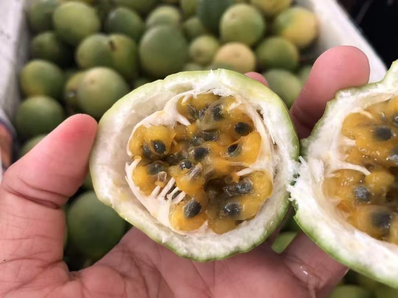正宗钦蜜9号百香果产地直发一件代发货源充足
