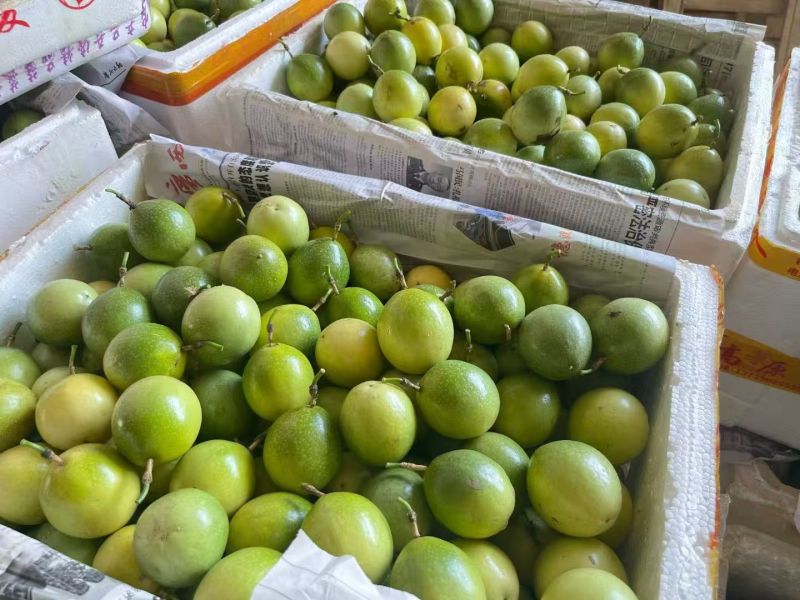 正宗钦蜜9号百香果产地直发一件代发货源充足
