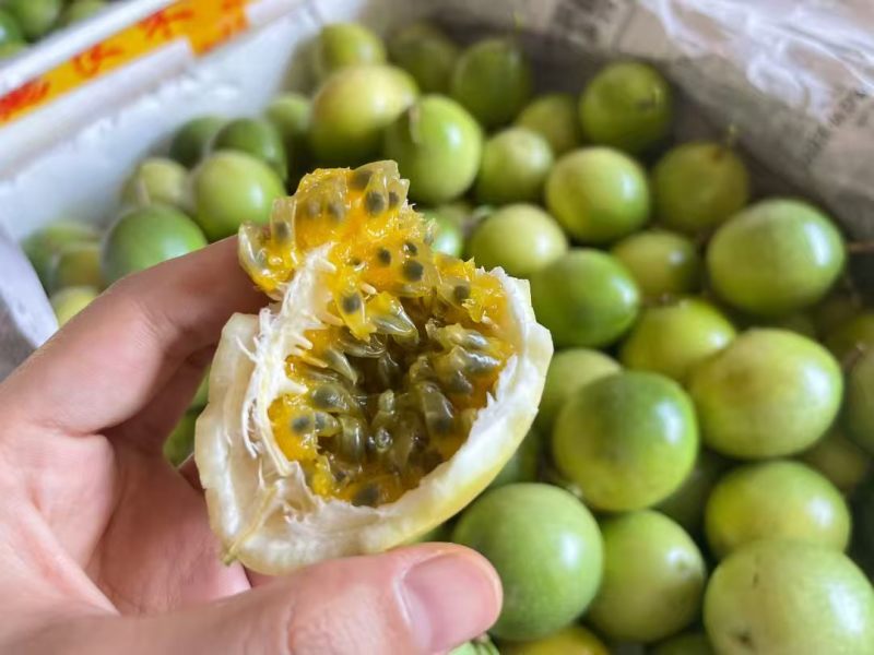 正宗钦蜜9号百香果产地直发一件代发货源充足