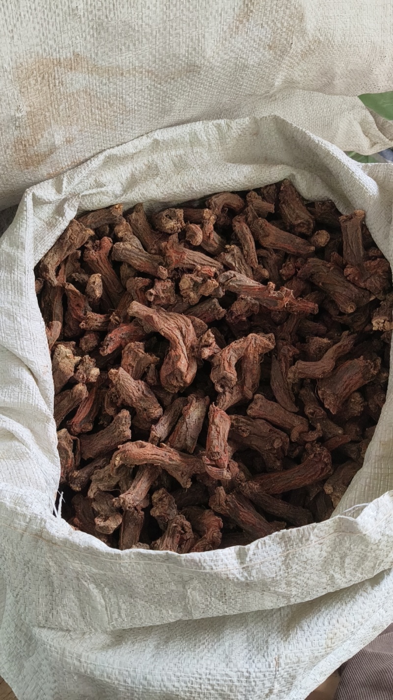 老丹参头大量现货供应，品质保证，量大从优，电联价格可谈