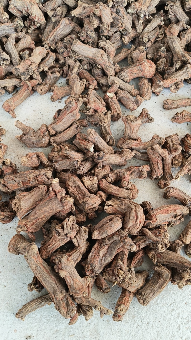 老丹参头大量现货供应，品质保证，量大从优，电联价格可谈