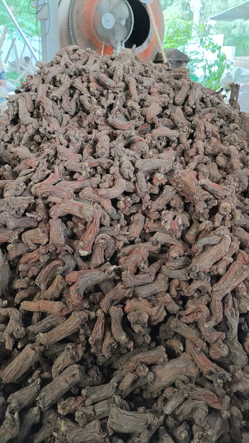 老丹参头大量现货供应，品质保证，量大从优，电联价格可谈