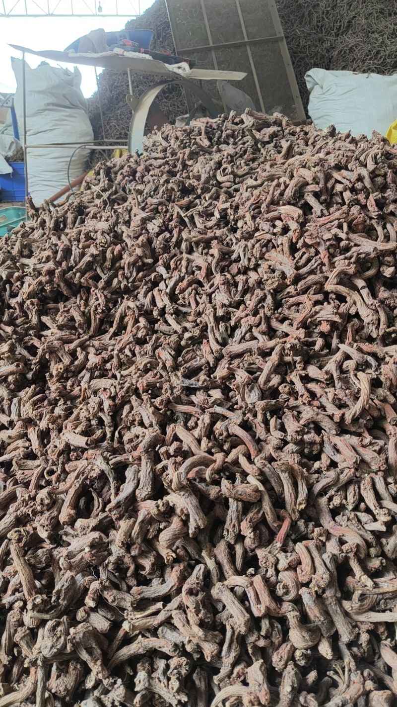 老丹参头大量现货供应，品质保证，量大从优，电联价格可谈