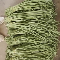 安徽芜湖青条豆角长豆角全国发货保质保量视频看货