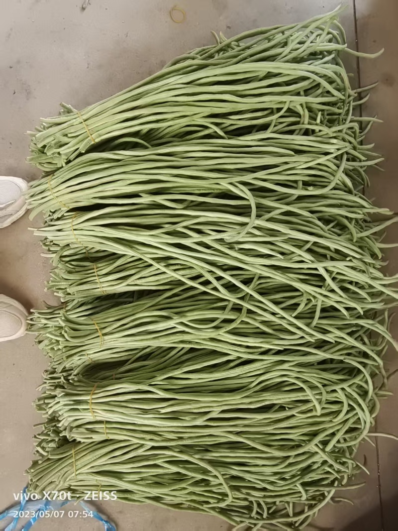 安徽芜湖青条豆角长豆角全国发货保质保量视频看货