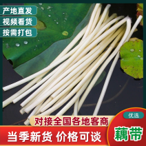湖北新鲜藕带大量供应品质保证诚信经营欢迎老板来电