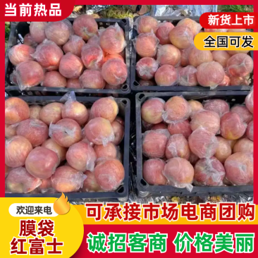 山西纸加膜富士货源充足质优价廉支持视频看货