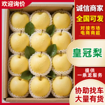 【皇冠梨】几十万斤大量供应品质保障可对接全国客商视频看货