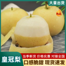 皇冠梨大量供应价格美丽一条龙服务全国可发
