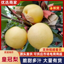 皇冠梨全国可发一条龙服务货源充足质优价廉