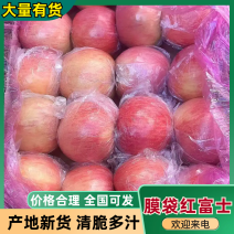 纸加膜富士口感脆甜可口可视频看货供应全国