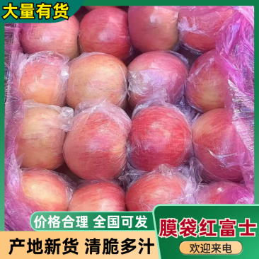 纸加膜富士口感脆甜可口可视频看货供应全国
