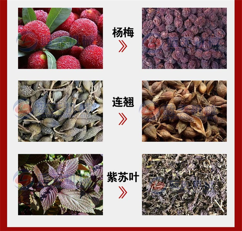 杨梅烘干机杨梅果干梅子干烘干房白蒂梅珠红圣生梅烘干设