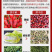 杨梅烘干机杨梅果干梅子干烘干房白蒂梅珠红圣生梅烘干设