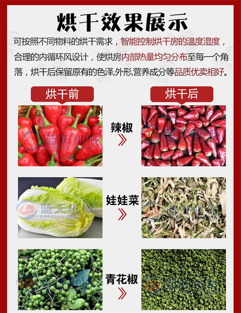 杨梅烘干机杨梅果干梅子干烘干房白蒂梅珠红圣生梅烘干设