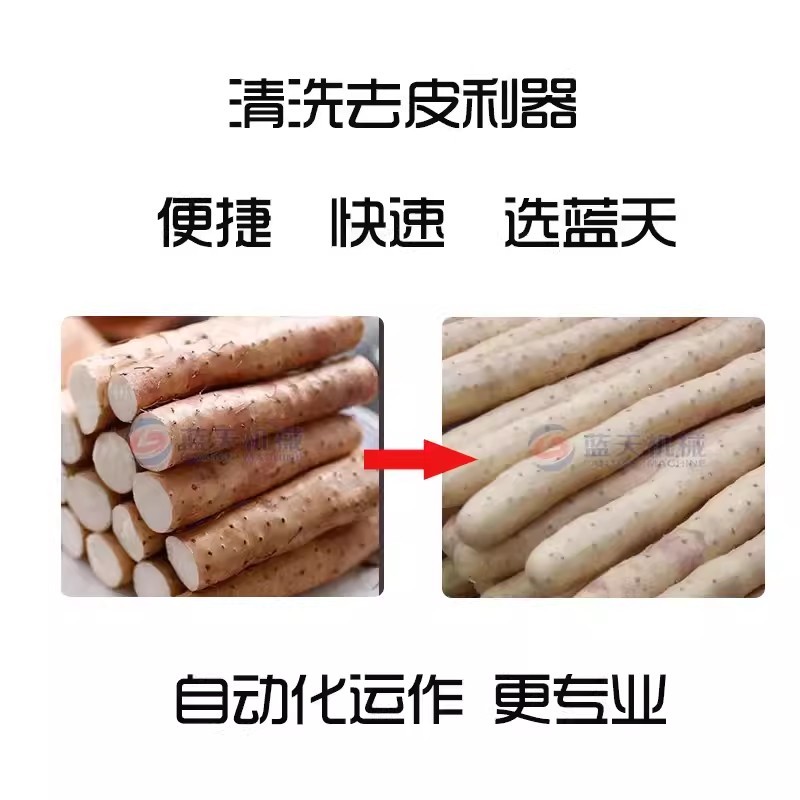 山药去皮清洗机不锈钢山药毛辊清洗机淮山药山药豆清洗设