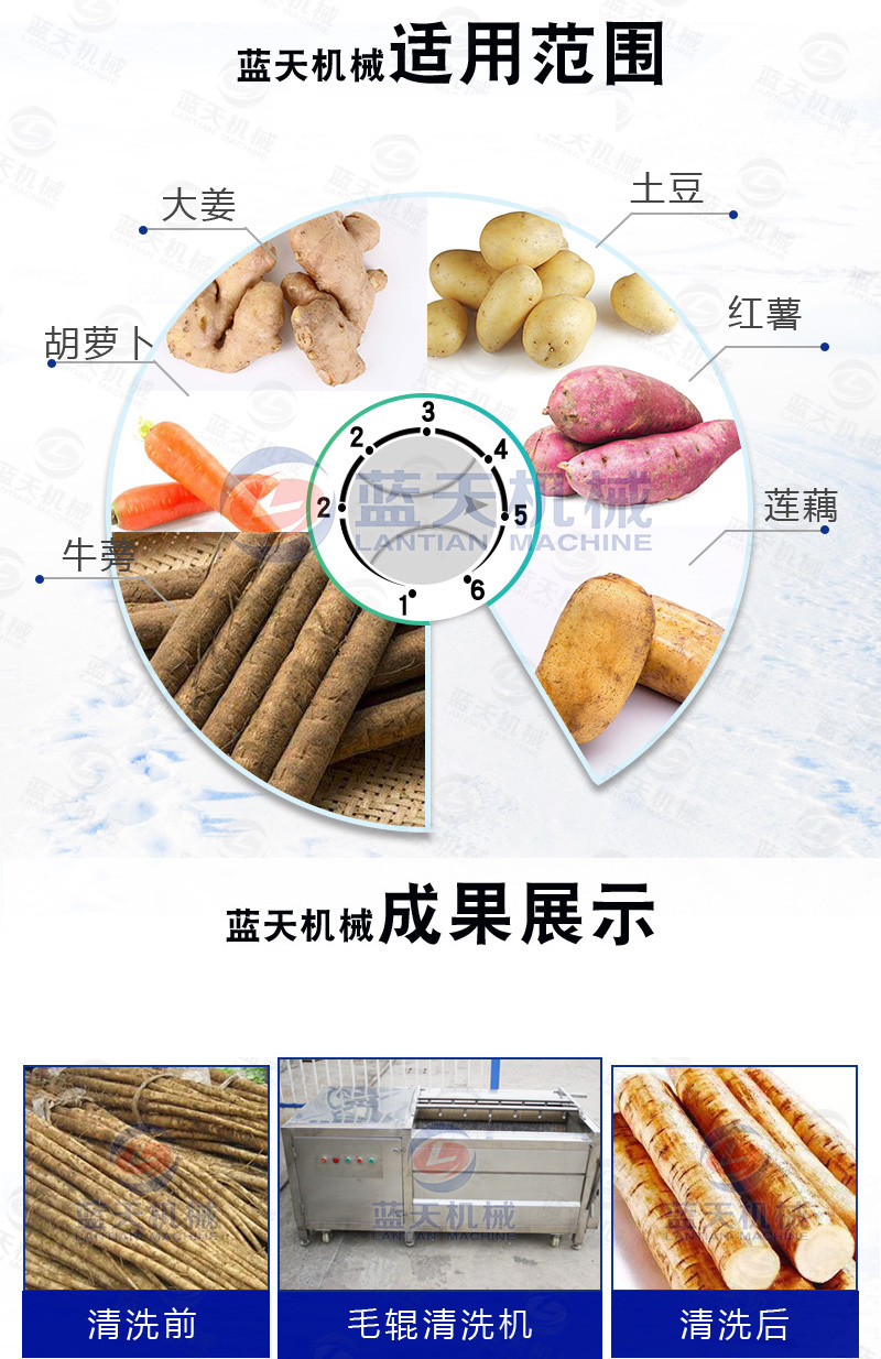山药去皮清洗机不锈钢山药毛辊清洗机淮山药山药豆清洗设