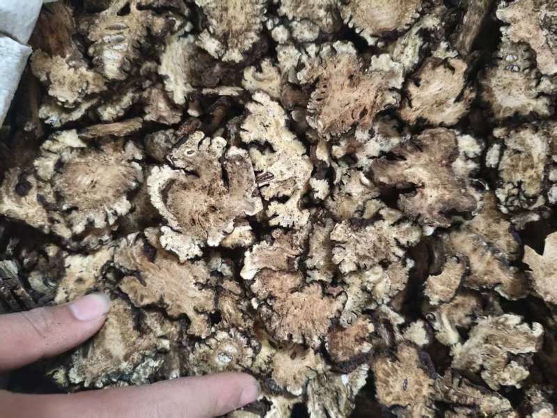 川芎安徽中药材批发，大量现货供应，规格齐全，电联价格可谈