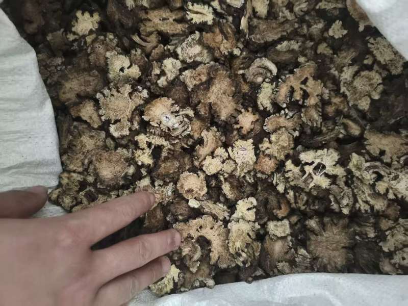 川芎安徽中药材批发，大量现货供应，规格齐全，电联价格可谈