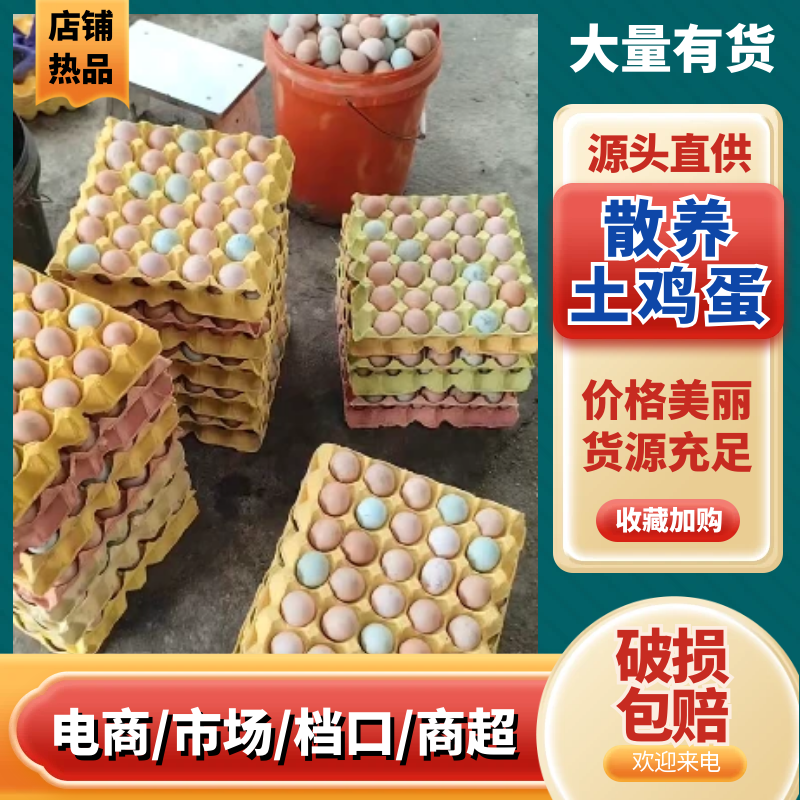 散养土鸡蛋自家养殖现货先发量大从优可对接全国精心挑选