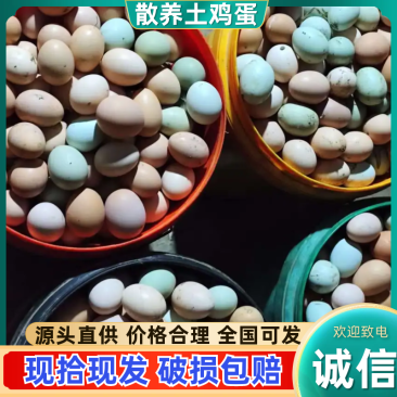 【精品鸡蛋】散养土鸡蛋包邮送货上门，现捡现发量大可议价