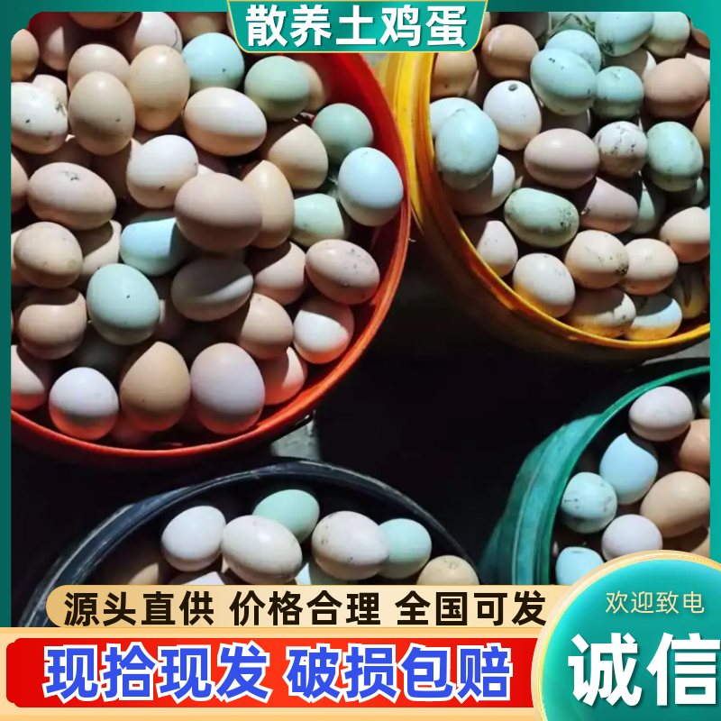【精品鸡蛋】散养土鸡蛋包邮送货上门，现捡现发量大可议价