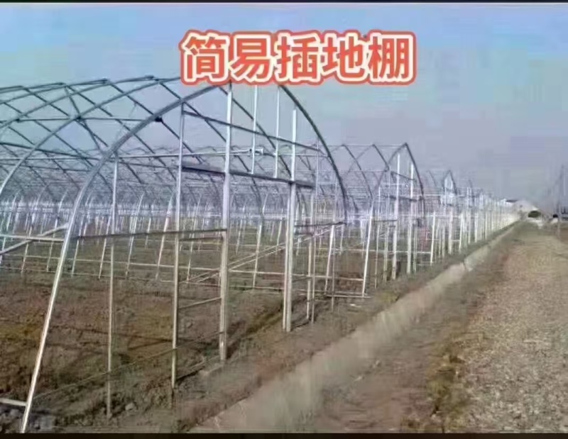 天津养殖大棚/联栋大棚/冷棚暖棚/可定尺定做欢迎联系