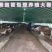 天津养殖大棚/联栋大棚/冷棚暖棚/可定尺定做欢迎联系