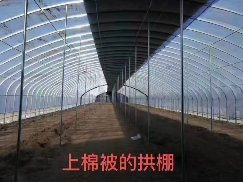 天津养殖大棚/联栋大棚/冷棚暖棚/可定尺定做欢迎联系