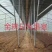 天津养殖大棚/联栋大棚/冷棚暖棚/可定尺定做欢迎联系