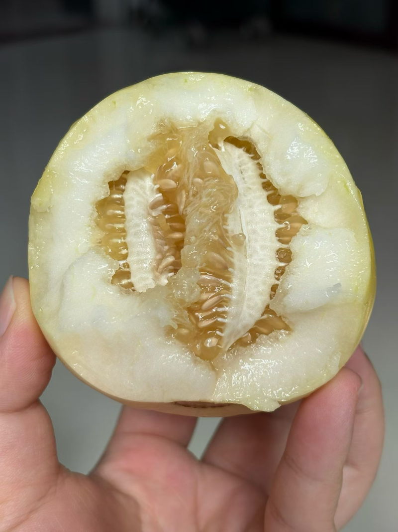 山东星甜20甜瓜，香甜可口，货源充足，量大从优，欢迎电话联系