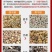 元胡烘干机网带元胡清洗烘干设备大型玄胡延胡索干燥机
