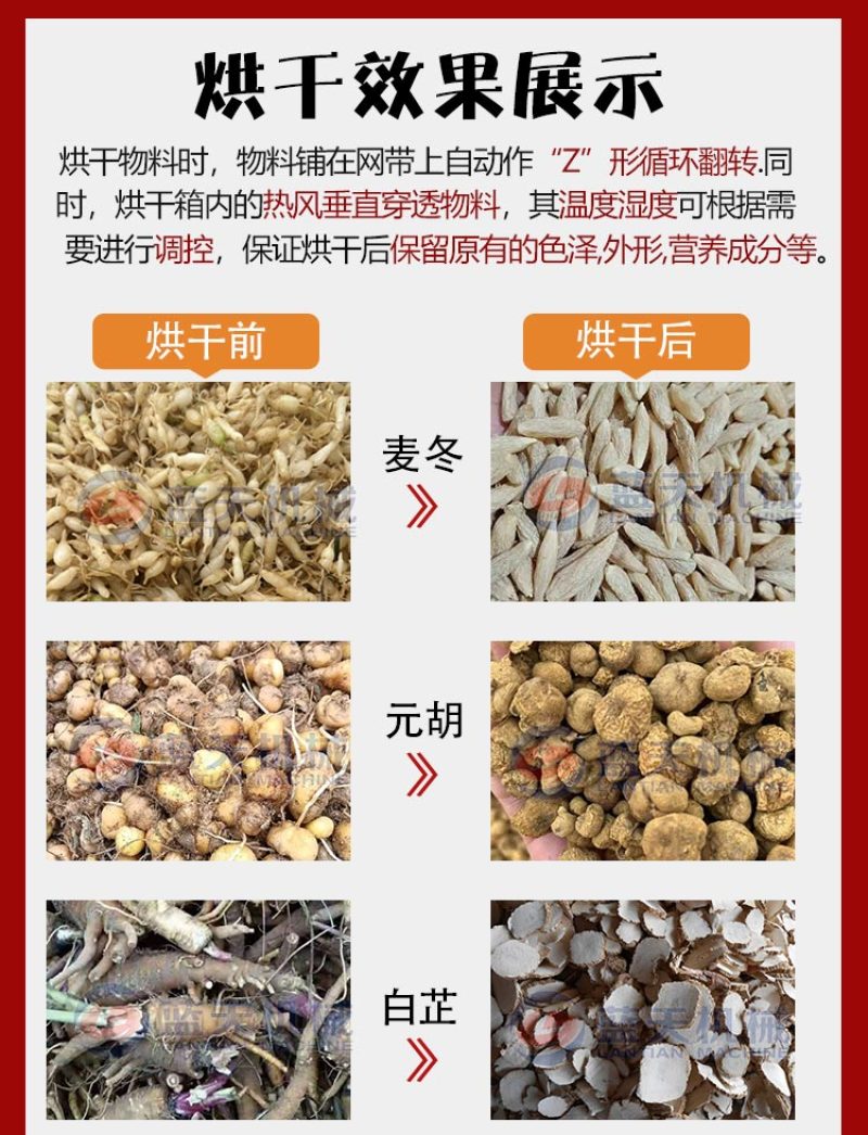 元胡烘干机网带元胡清洗烘干设备大型玄胡延胡索干燥机