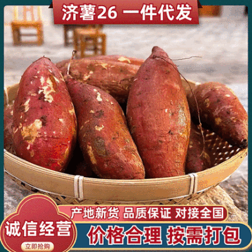 《电商批量代发》济薯26&辽宁蜜薯/一件代发～精选