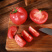 泾阳普罗旺斯西红柿🍅沙瓤爆汁酸甜爽口地标认证果型饱满