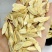 【热卖】黄芪斜片生黄芪量大质优价格优惠欢迎采购
